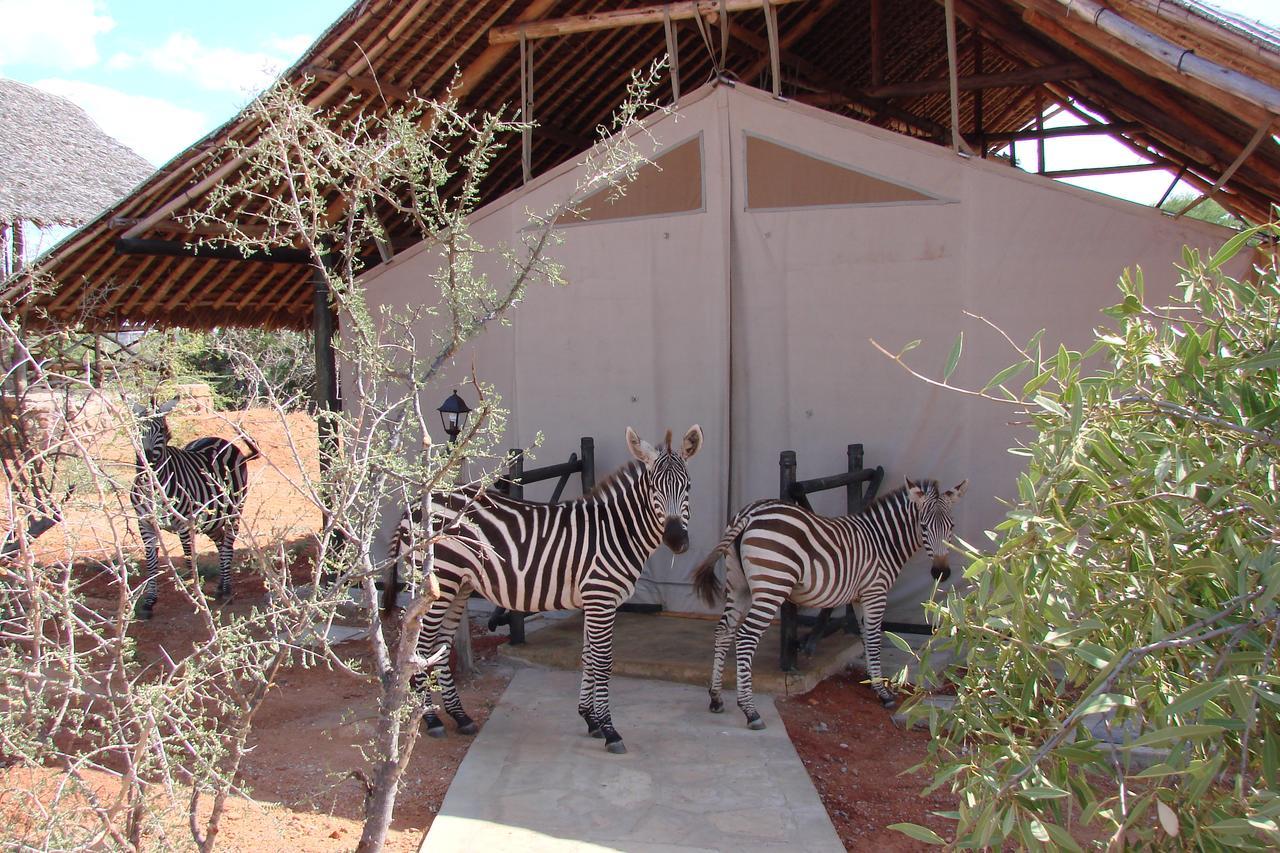 Tsavo Maneatersヴィラ エクステリア 写真