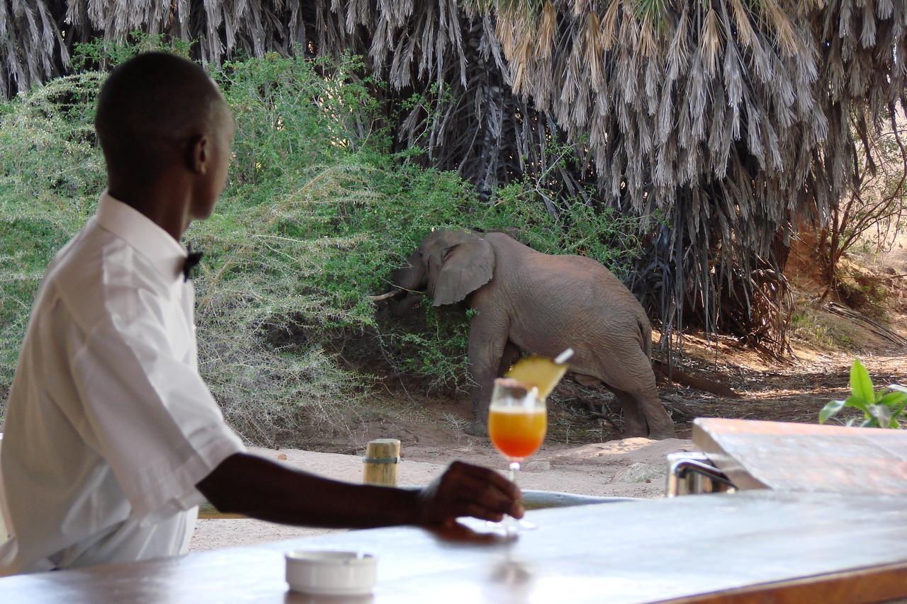 Tsavo Maneatersヴィラ エクステリア 写真
